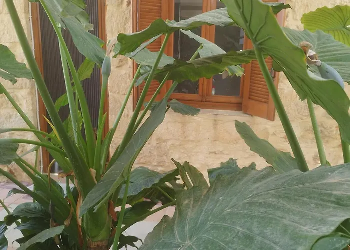 Katerina Apartman Hriszí Aktí Haniá