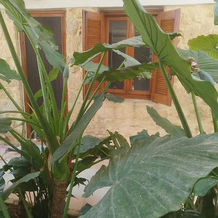 Katerina Appartement La Canée