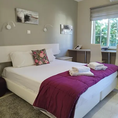 Katerina 公寓 干尼亞